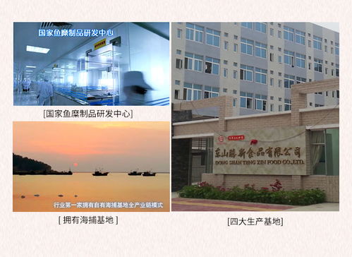 海欣休閑食品手撕蟹肉棒 南寧辦公軟件開發(fā)與銷售團隊的理想能量伴侶